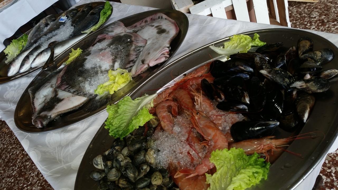 Piroga Padova Hotel 4*