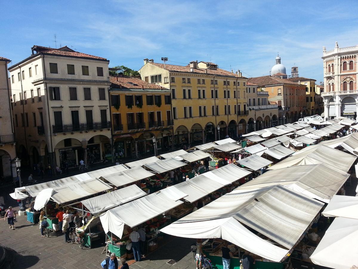 Piroga Padova Selvazzano Dentro